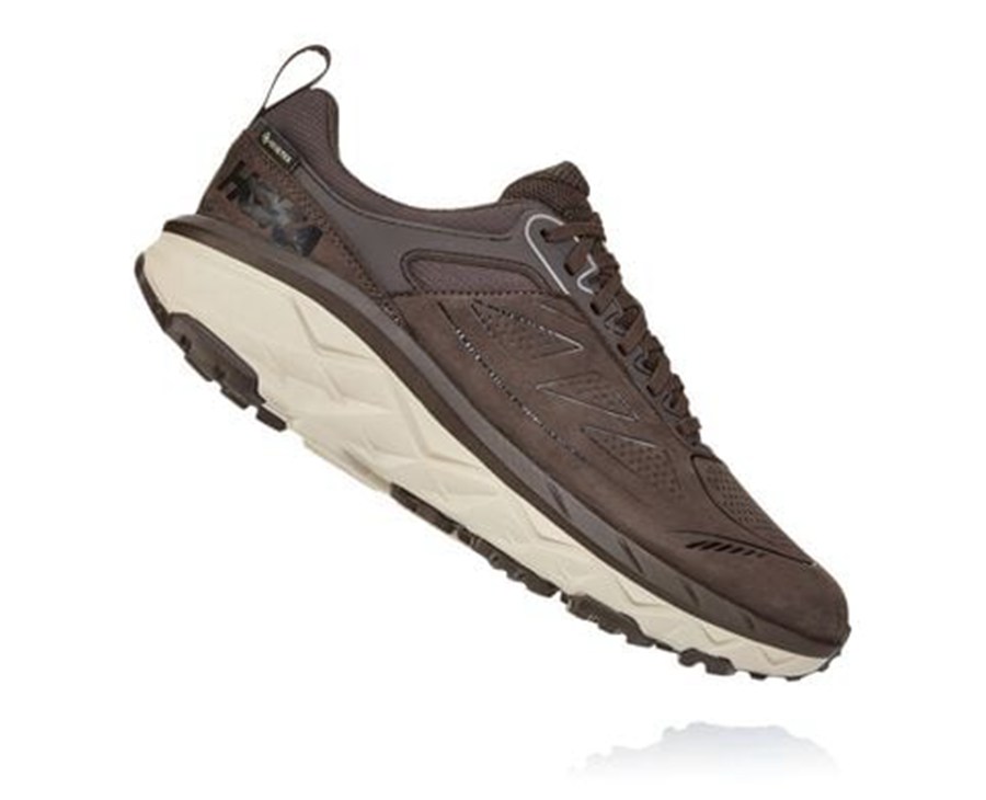 Tenis Trail Hoka One One Masculino Marrom - Challenger Baixo Gore-Tex - 619-GYXJZM